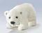 polarbear1116 nickli yeye ait kullanc resmi (Avatar)