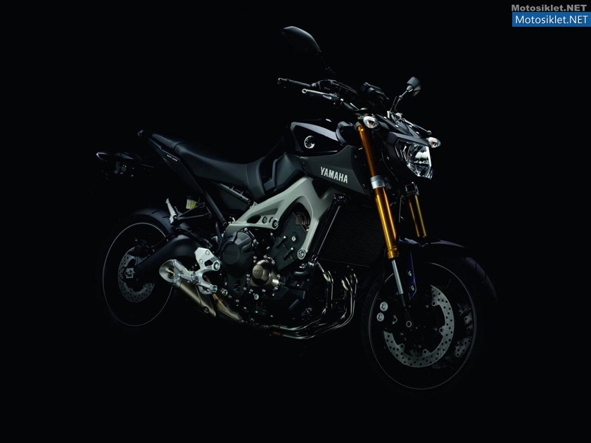 Yamaha-MT-09-2014-042