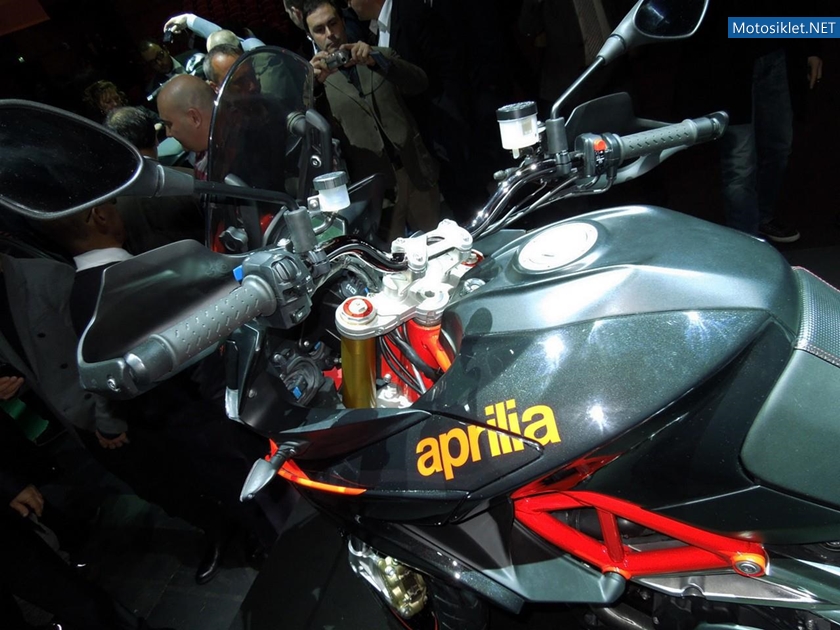 ApriliaCaponord1200-2013Model-010